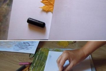Desenhar folhas usando giz e papel