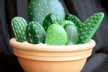 cactus de pedra