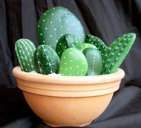 cactus de pedra