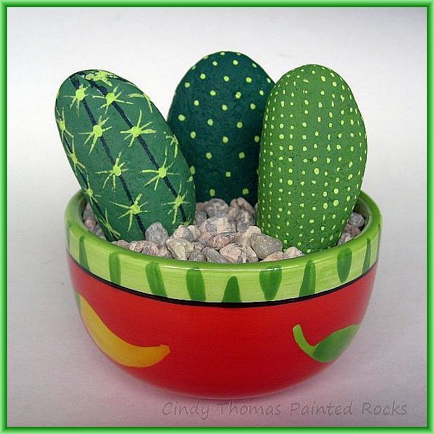 cactus pedra